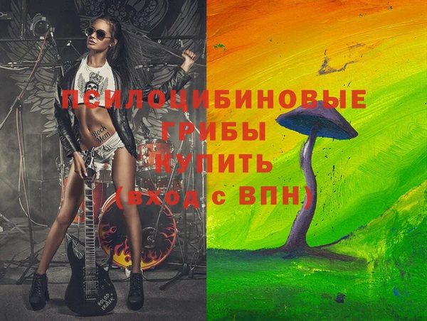 амф Верхний Тагил